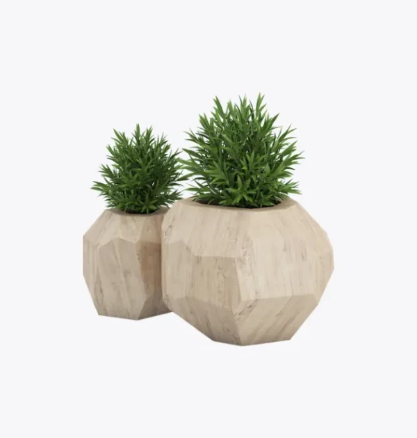 product-image-7_optimized Jungle Muse – Monstera Deliciosa